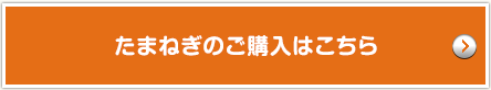 たまねぎのご購入はこちら