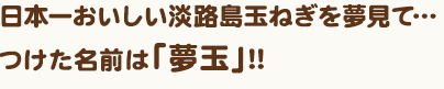 日本一おいしい淡路島玉ねぎを夢見て…
つけた名前は「夢玉」!!