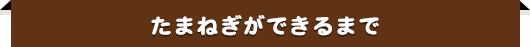 たまねぎができるまで